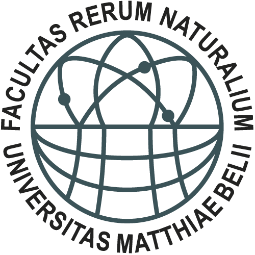 Logo FPV